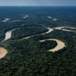 Amazon Tribe Sues New York Times Over Wrong Porn Story